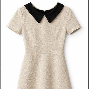 Chic Textured Dress with Black Collar